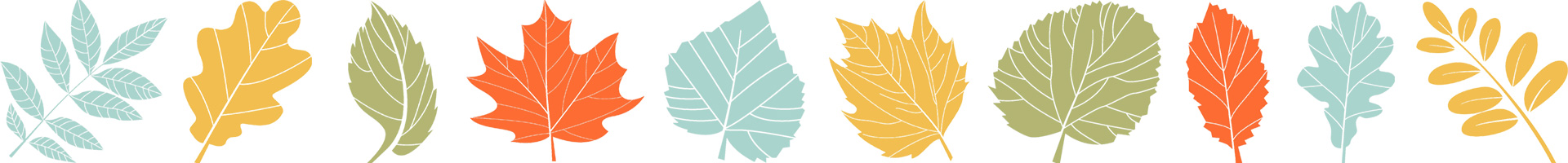 Nice image representing the start of Autumn