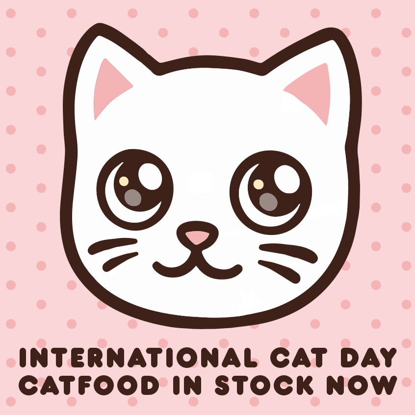 It's International Cat Day!
