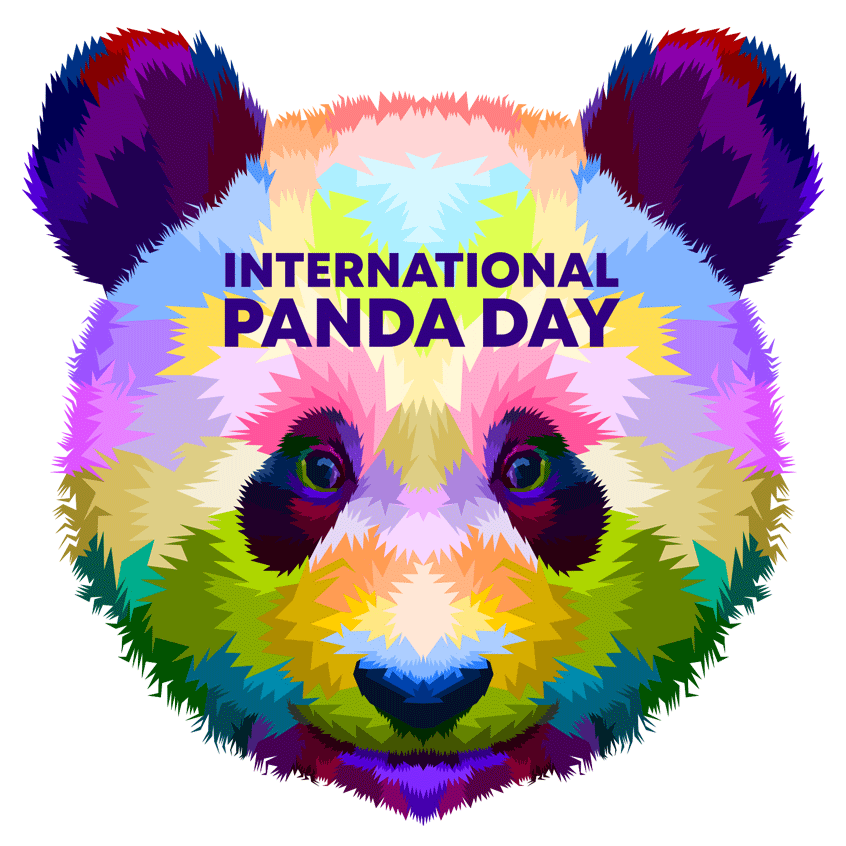 It's International Panda Day!